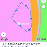 530m2 View Rừng Hồ Tràm- Cách biển 4km- Thích hợp Homestaynghỉ dưỡng