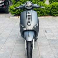 Dibao Pansy Sx1 2025 Xám sần nhập thái sơn máy zin