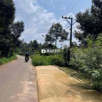 🔥 CHỈ 290 TRIỆU – SỞ HỮU ĐẤT GẦN NGÃ 3 TÂN PHONG 🔥  📍 Vị trí đẹp