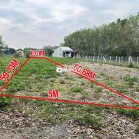 BÁN GẤP ĐẤT NỞ HẬU – GIÁ ĐẦU TƯ TẠI GIA LỘC, TRẢNG BÀNG