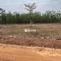 Ban lô đất lộc ninh