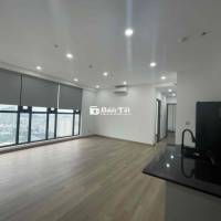 Cho Thuê Penthouse 4PN CC Park View Điện Biên Phủ - Nhà NTCB