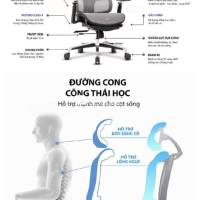 Ghế công thái học xịn bảo hành 5 năm Lumbar 03