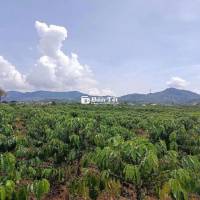 Đất đầu tư nghỉ dưỡng quá tuyệt