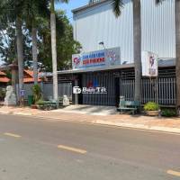 🔥 HÀNG HIẾM – CHỈ 1 NỀN KHU SÂN CẦU LÔNG CÚC PHƯƠNG 🔥