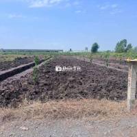 460t đất vườn 1000m²(11,5×87)m, xe hơi đỗ truóc đất,cao ráo,sổ sẵn,TLg