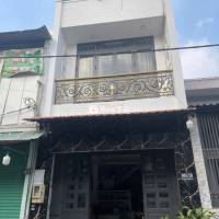Gân Cho và trưởng hoc