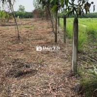 Bán đất vườn, sổ hồng riêng