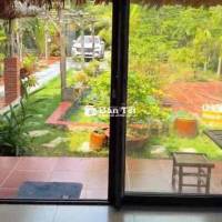 Gấp gấp Nhà Vườn An Điền 15x52m.  thổ cư 200m2 sẵn nhà , cây ăn quả