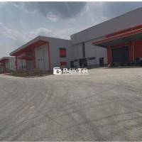 cho thuê kho xưởng KCN bàu bàng - 4200m - 8000-20.000m
