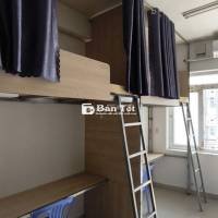 Đại học Hoa Sen HSU Thành Thái Phòng thuê ghép Văn phòng Sinh viên