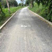chủ gửi lo đất mặt tiền sông vàm thuật ( 16x85) giá 7 ty