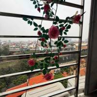 Bán CC Mini Láng, Ngã 4 Sở- Thoáng Đẹp View Sáng 2n2wc Ô tô đỗ