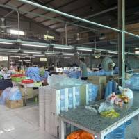 CHO THUÊ XƯỞNG TÂN THÔNG HỘI CỦ CHI 550M
