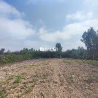 Chính chủ cho thuê 21x97m 1/ TL10 Cách TL10 700m