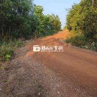 Bán đất vườn