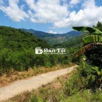 Gần 2000m2 rẫy Mặt tiền Bắc Nha Trang – view núi, suối tự nhiên – ôtô