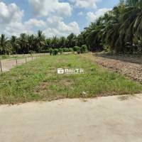 ĐẤT NỀN GIÁ RẺ, CHỢ GẠO, TIỀN GIANG
