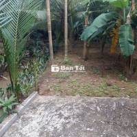 Đất vườn thổ cư xã Mỹ Thạnh huyện Giồng Trôm tỉnh Bến Tre
