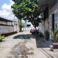 Bán dãy trọ Đông Hưng Thuận 6, DT: 7x25m,  full thổ giá 16.2 tỷ tl