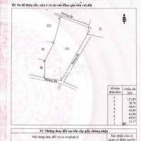 Chủ cũ gửi chủ mới - Khu vườn nghỉ dưỡng full 2 sổ riêng