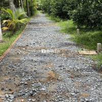 Bán Đất Long Hưng, Tiền Giang, Đồng Tháp. 9,10m x 27m = 248m đường ôtô