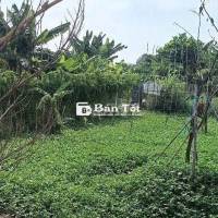 Đất hẻm ô tô thông, khu dân cư hiện hữu Bình Mỹ, Củ Chi.