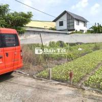 Đất thổ cư 1/Bùi Thị Lùng-Thới Tam Thôn-Hóc Môn.Dt 8x30~239m2~5,6ty