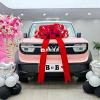 VF3 SỞ HỮU DỄ DÀNG CHỈ 37TR XE CÓ SẴN – GIAO NGAY