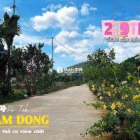 🌿 SALE OFF 1 LÔ THỔ CƯ ĐẠ TẺH LÂM ĐỒNG CHỈ 199TR