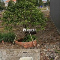 Chính chủ cắt lỗ 500 tìm người mua