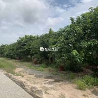 Đất nhà vườn