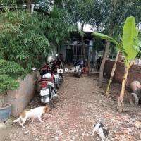 Đất giáp Hóc Môn 4x20 80m2 giá 250 triệu