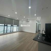 Cho thuê Penthouse Park View 152 Điện Biên Phủ 4pn giá 25 triệu 130m2