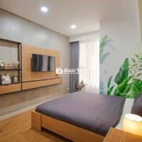 Căn hộ studio đầy đủ nội thất The Tresor quận 4