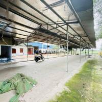 Cho Thuê Nhà Vườn 1500m2 - (Có Điện 3Fa -Xưởng)- Trảng Dài - Giá:15tr