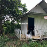 Đất có thổ cư, có suối