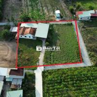 Bán GẤP 2230m2. Nhà 3MT.Thị trấn Củ Chi  giá siêu rẻ.45x48 300m2 TC