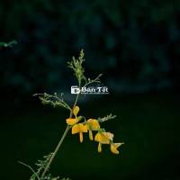 [BAO ĂN Ở] 4 NHÂN VIÊN NHÀ HÀNG Q1