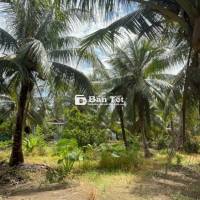 🌿 ĐẤT ĐẸP – GIÁ RẺ – GẦN TP.HCM - CHỈ 155TR