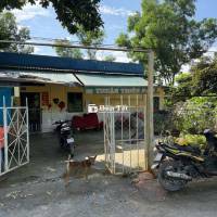 CHO THUÊ NHÀ VƯỜN BÌNH CHÁNH
