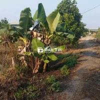 Bán đất đường Kênh 5 - Vườn Thơm, X. Bình Lợi