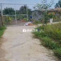 🌿 Bán Đất Nhà Vườn 500m²Cần Giuộc–Gần Long Hậu, Đường Ô Tô Tới Tận Đất