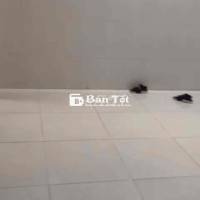 Bán gấp Chung cư Tầng trệt Sơn Kì,dt:110m2,2Pn-2wc,q.tân phú