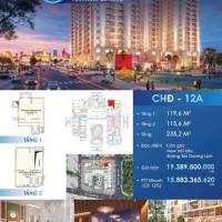 KHỐI ĐẾ GÀ ĐẺ TRỨNG VÀNG SỔLÂU DÀI MẶT TIỀN SÔNG HÀN ĐÀ NẴNG PENINSULA