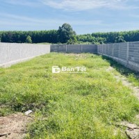 BÁN ĐẤT PHƯỚC LONG THỌ ĐẤT ĐỎ BÀ RỊA VŨNG TÀU
