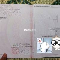🔥 ĐẤT SỔ RIÊNG THỔ CƯ 100% – KDC MIỀN ĐÔNG, PHƯỜNG TÂN TRIỀU
