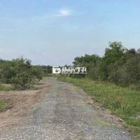 Đất trồng cây hàng năm hơn 4000m2