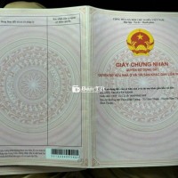 Bán đất lớn làm trang trại chăn nuôi, trồng cây, nghỉ dưỡng