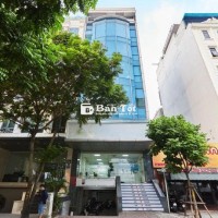 Cho Thuê Tòa Nhà Đường Điện Biên Phủ, Phường 17, Bình Thạnh, DT: 8x20m